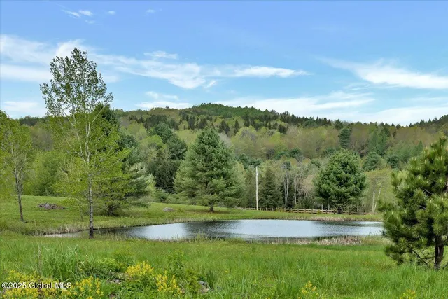 $1,200,000 | 156 Saddle Brook Court, Cooperstown, NY 13326