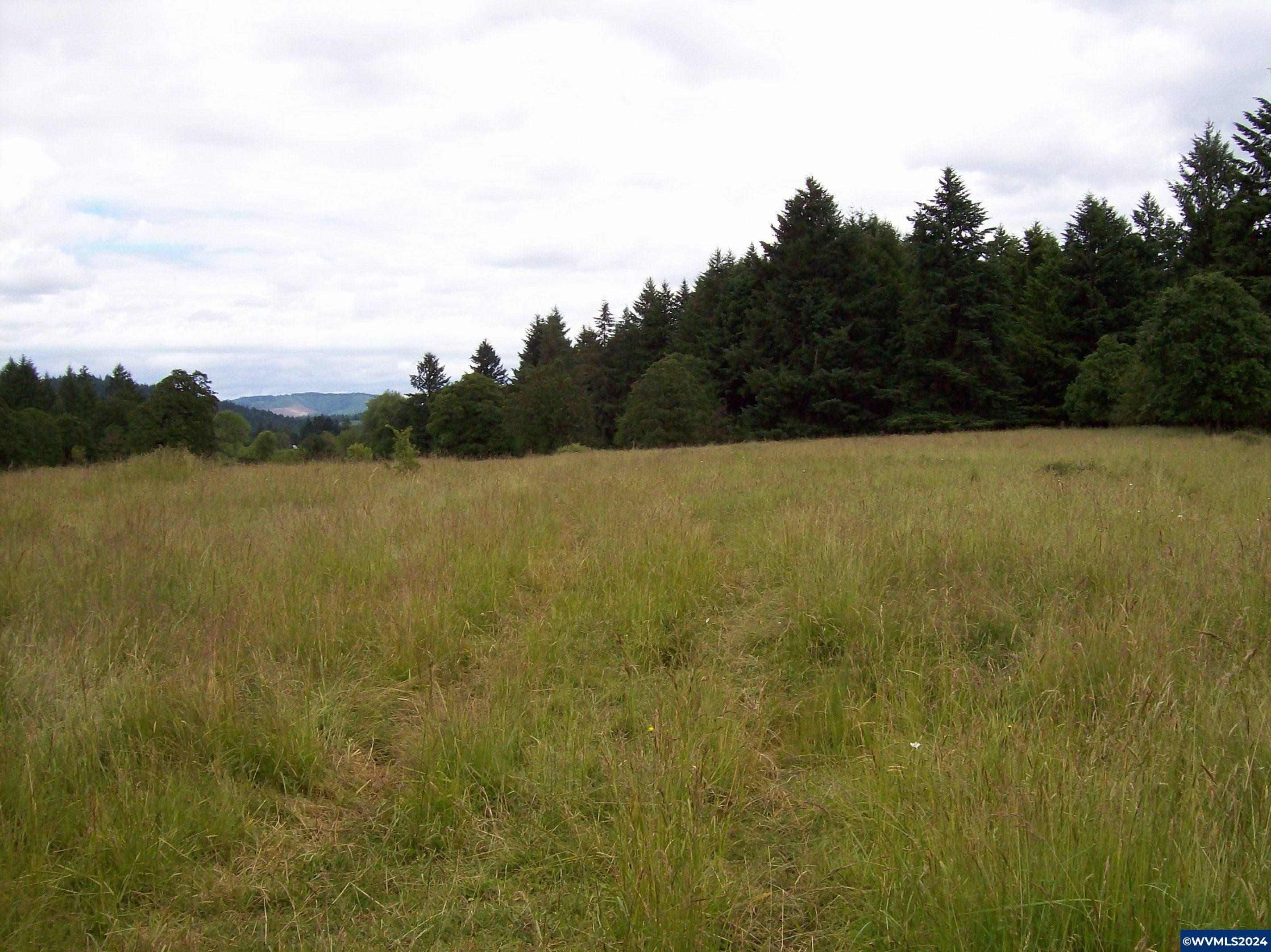 30209 Fairview Road Lebanon, OR 97355 - Photo 17 of 32