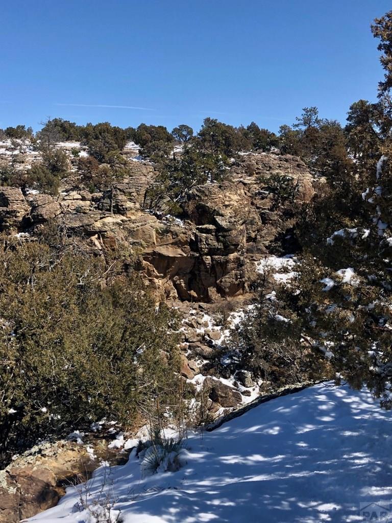 Tbd Tbd Turkey Ridge Road Walsenburg, CO 81089 - Photo 10 of 12