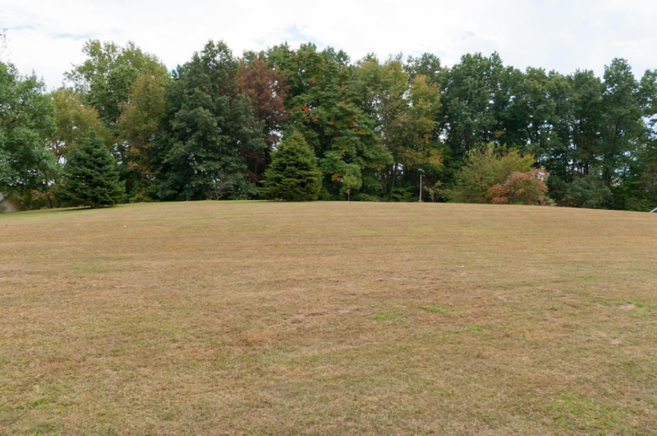 30365 Shaw Road Lawton, MI 49065 - Photo 18 of 22 Shaw-17