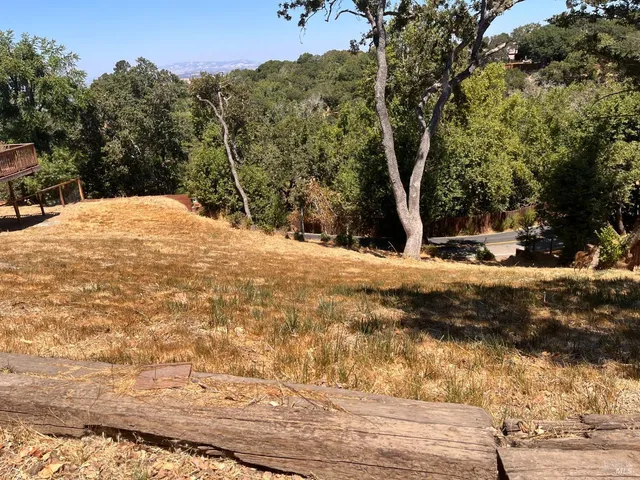 a view of a yard with trees
