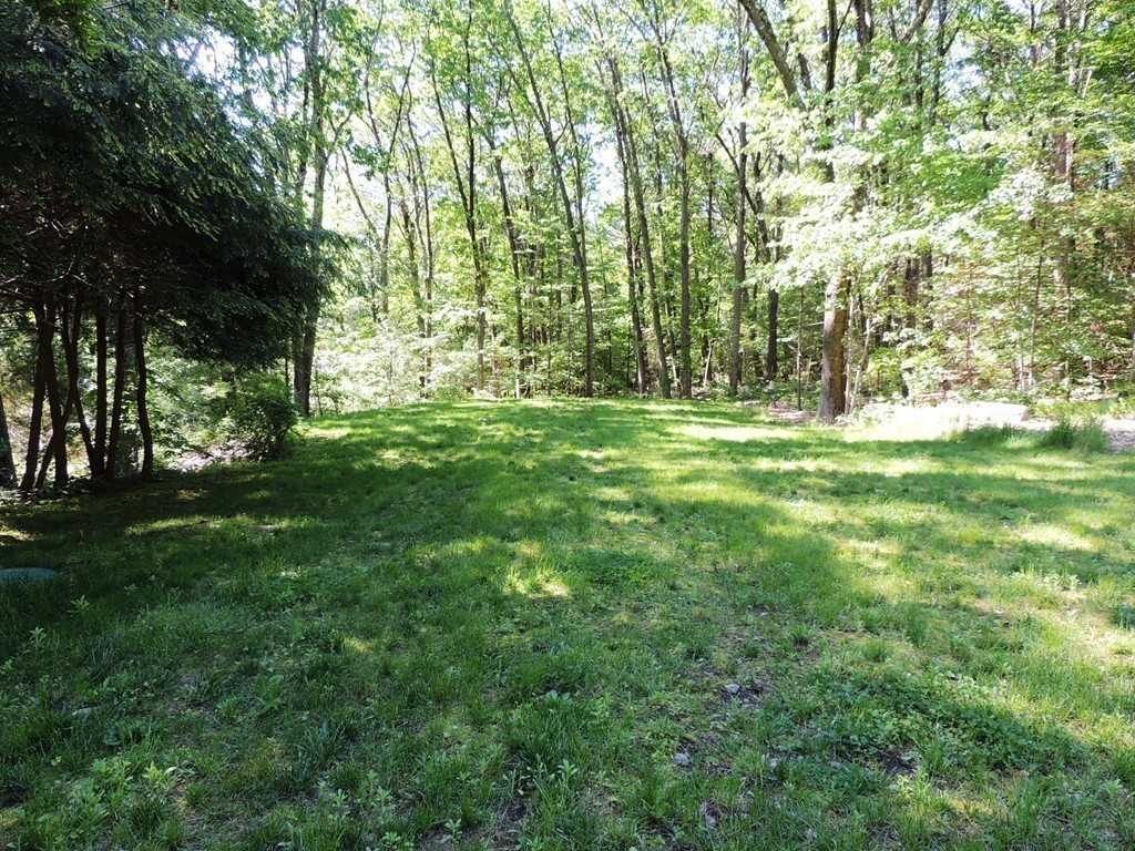 76 Wolf Rock Road Carlisle, MA 01741 - Photo 17 of 20 a big yard with lots of green space and trees