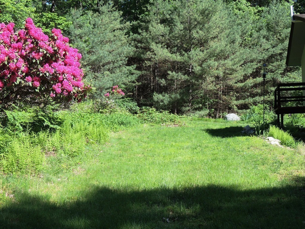 76 Wolf Rock Road Carlisle, MA 01741 - Photo 18 of 20 a view of a yard with plants