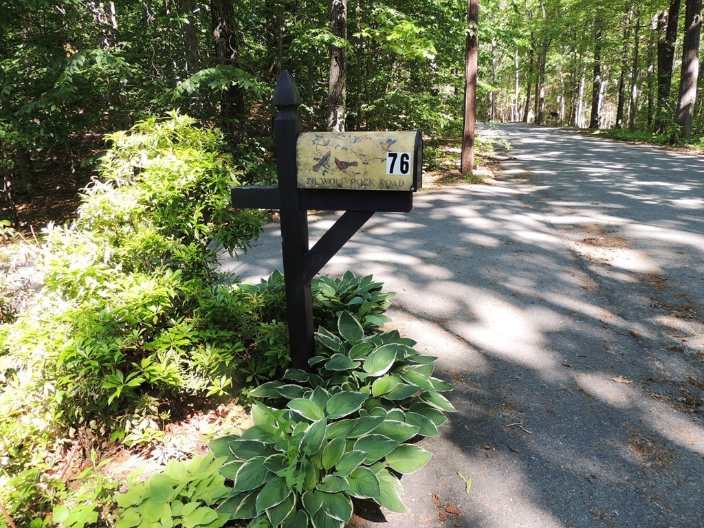 76 Wolf Rock Road Carlisle, MA 01741 - Photo 20 of 20 a street view with sitting space