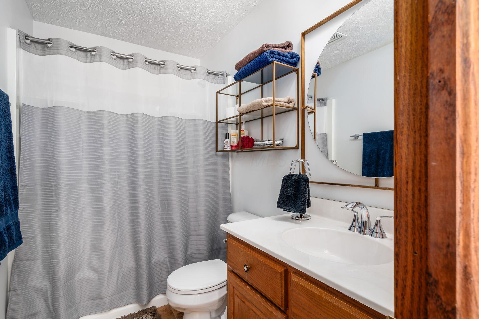 10862 Center Village Road Galena, OH 43021 - Photo 18 of 40 Owner Suite Bath