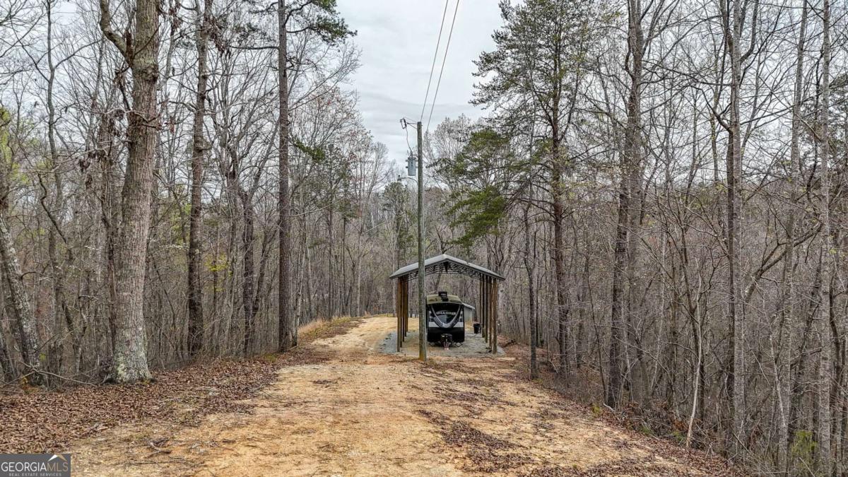 0 Felton Rockmart Road Buchanan, GA 30113 - Photo 19 of 47