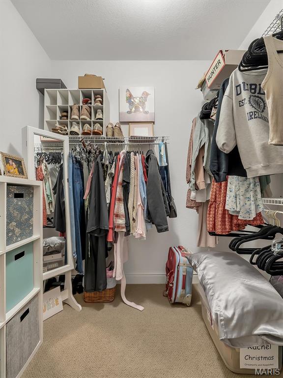 4522 Highway Jj Bourbon Mo 65441 Bourbon, MO 65441 - Photo 63 of 71