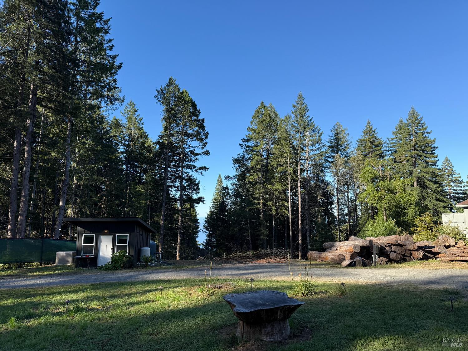28800 Seaview Road Cazadero, CA 95421 - Photo 11 of 14 a view of a swimming pool and trees in the background