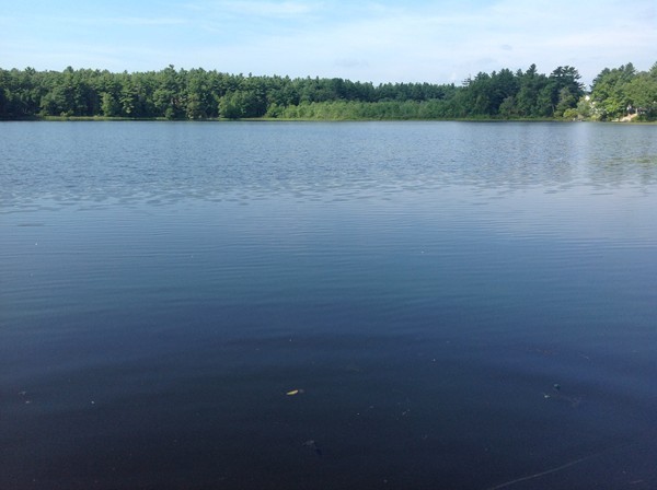 35 Keyes Road Westford, MA 01886 - Photo 12 of 17