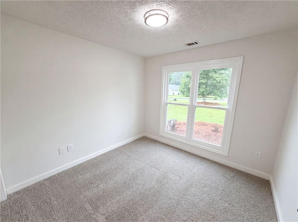 919 Elijah Way Bethlehem, GA 30620 - Photo 9 of 18