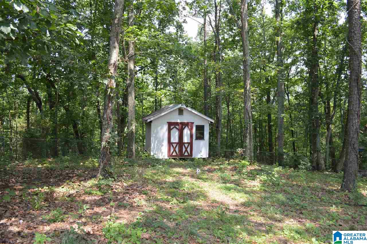 7460 Roper Tunnel Road Trussville, AL 35173 - Photo 8 of 50