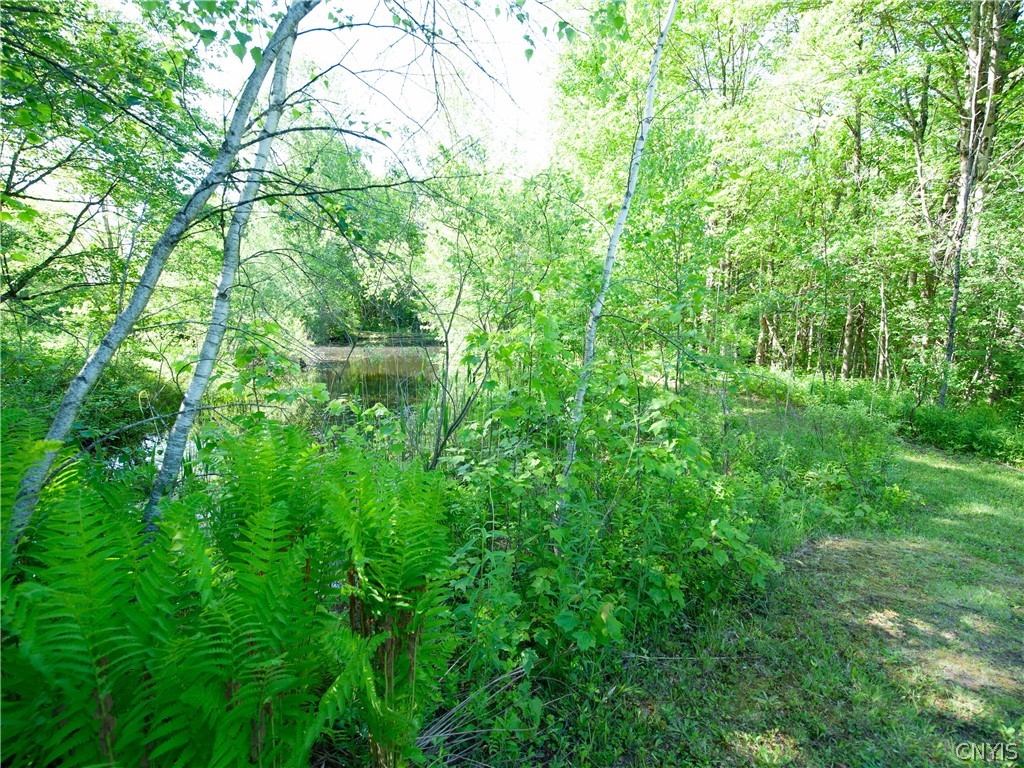 0 Goose Point Road Camden, NY 13316 - Photo 17 of 24