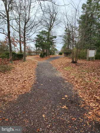 a view of outdoor space with trees