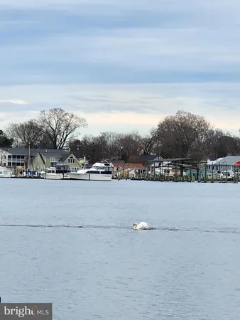 a view of lake view