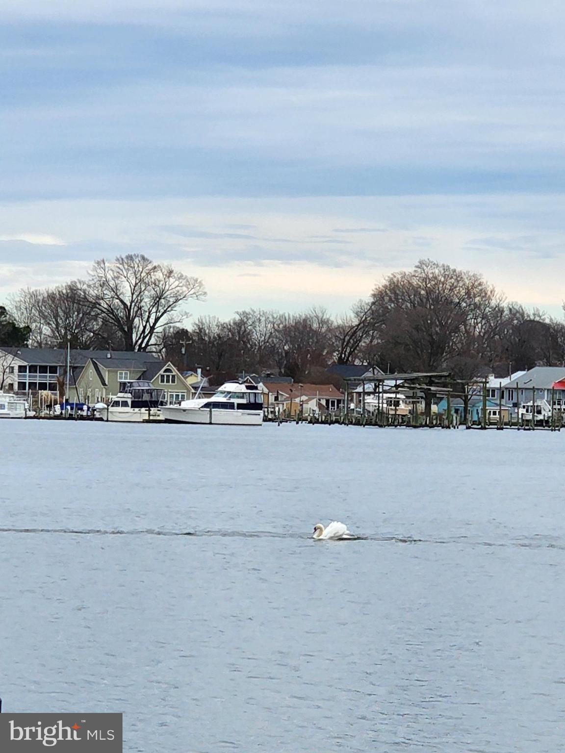 701 Monroe Point Drive Colonial Beach, VA 22443 - Photo 13 of 13 a view of lake view