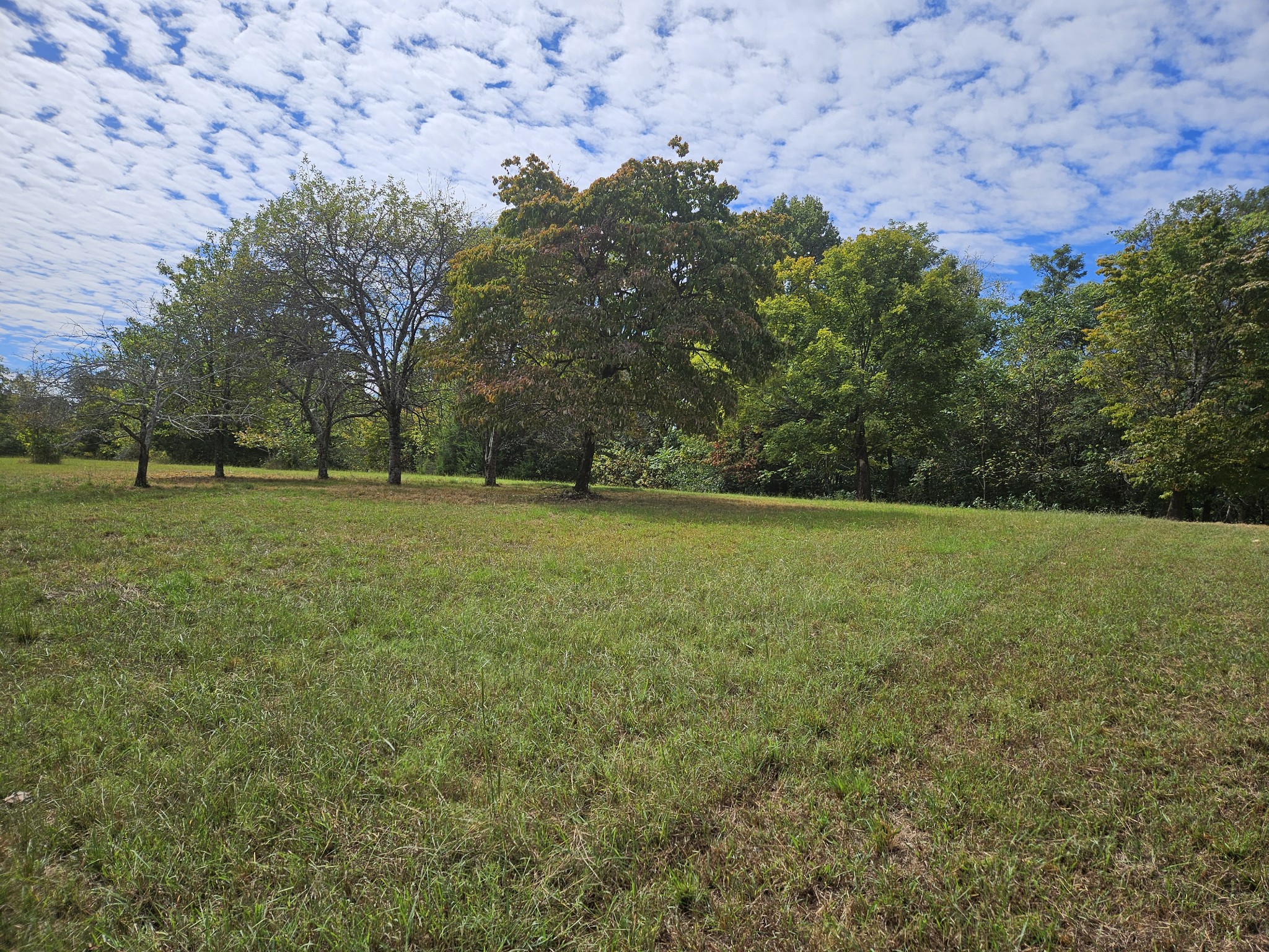420 Carroll Ridge Road Pulaski, TN 38478 - Photo 33 of 35 Gallery Image 33