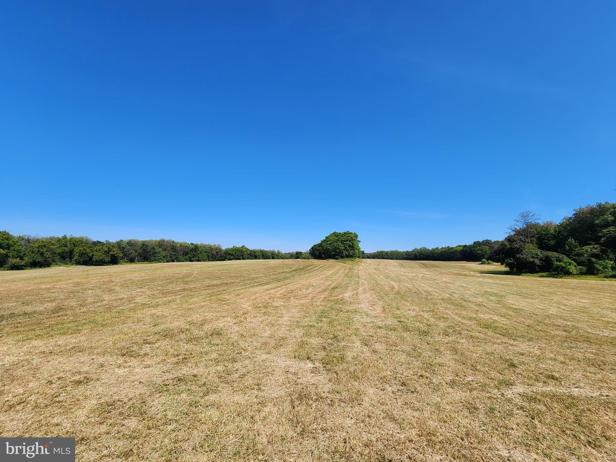 22805 Whites Ferry Road Dickerson, MD 20842 - Photo 10 of 15 Extensively Cleared and Actively Farmed