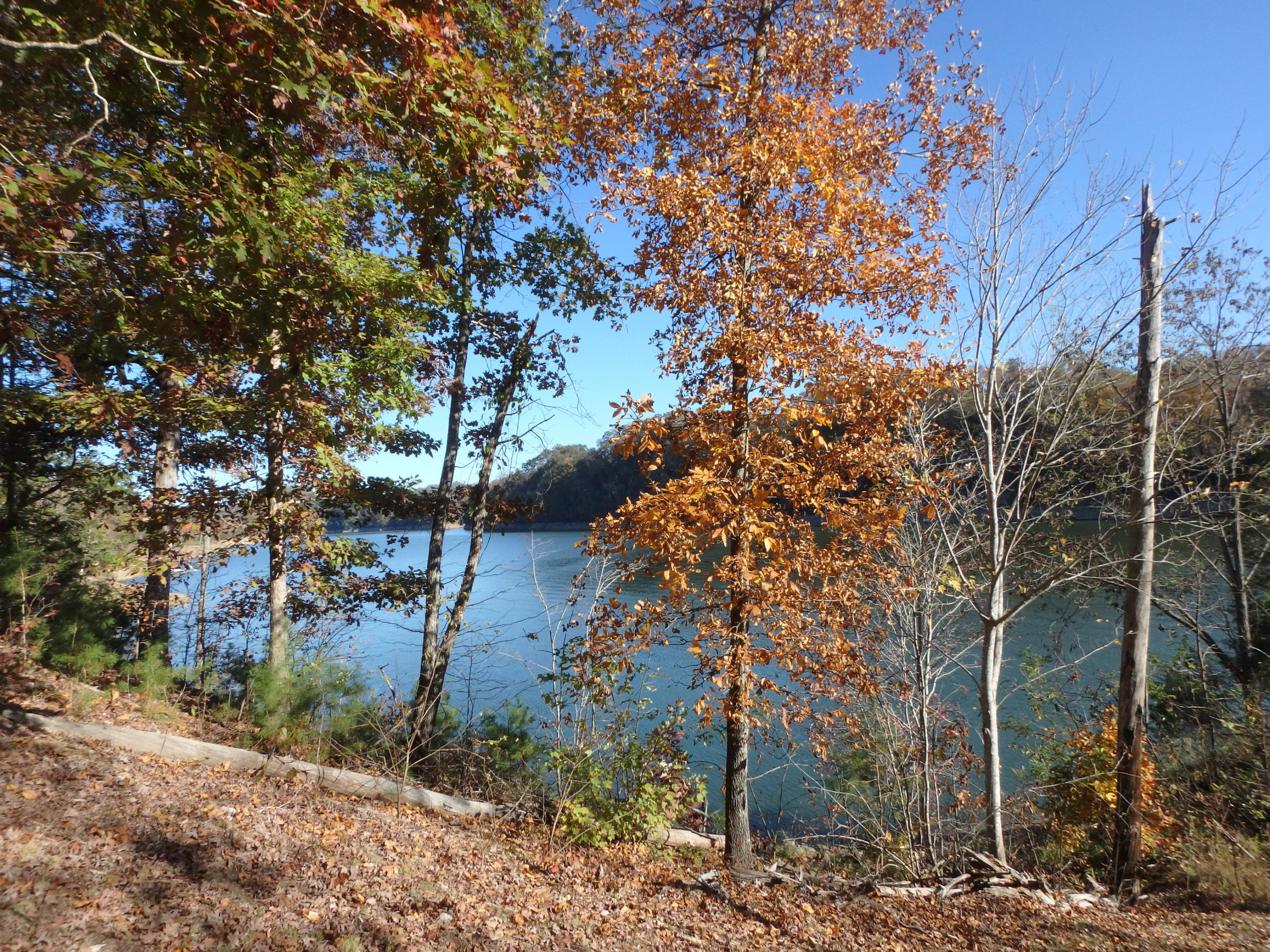 630 Bluff View Road New Tazewell, TN 37825 - Photo 14 of 35 PB040049