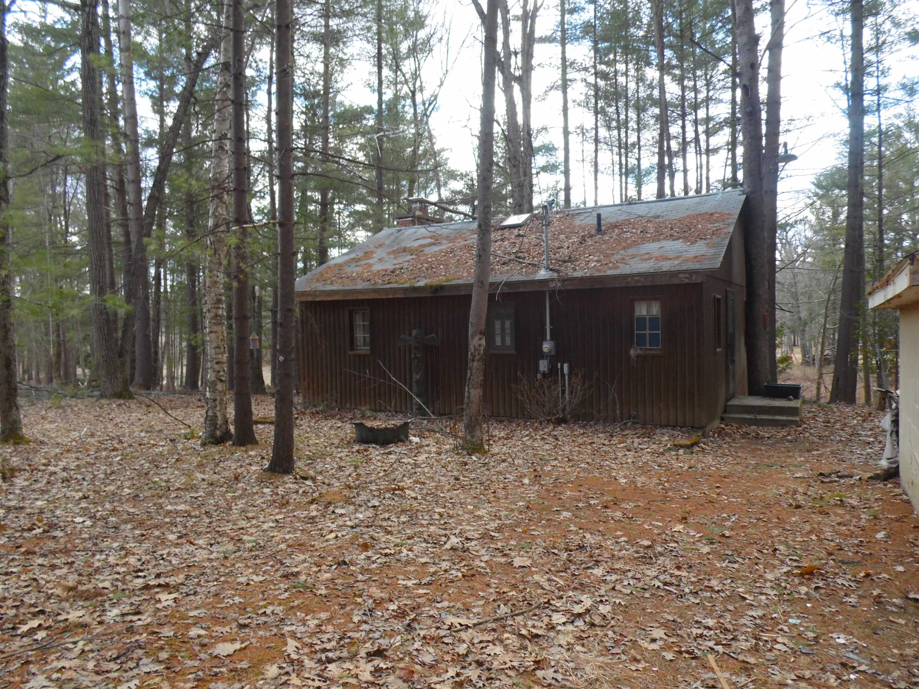 1741 South Whitney Road Beaverton, MI 48612 - Photo 4 of 56