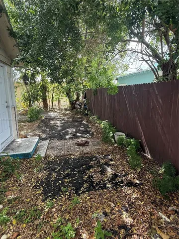 a view of a backyard with plants and large trees