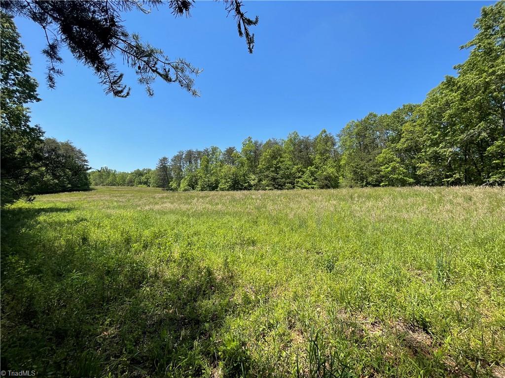 5 Johnson Road King, NC 27021 - Photo 3 of 19