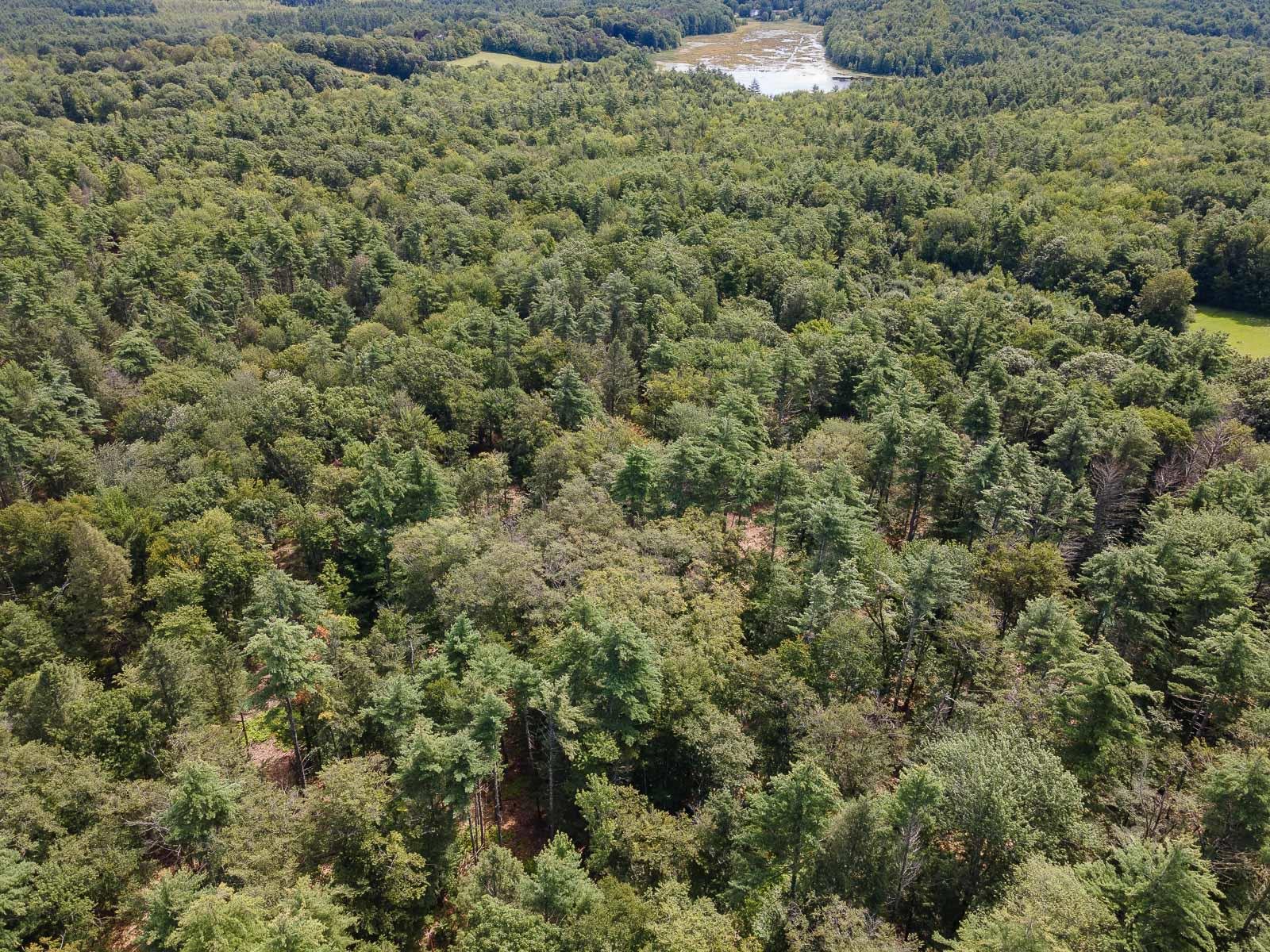 Tbd Second Crown Point Road, Unit MAP 19 482 Strafford, NH 03884 - Photo 5 of 5