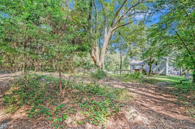 a view of a yard with plants and trees