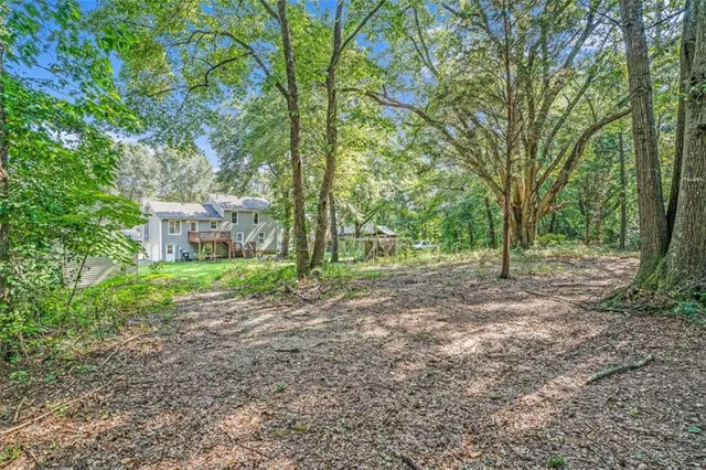 a view of a yard with plants and trees