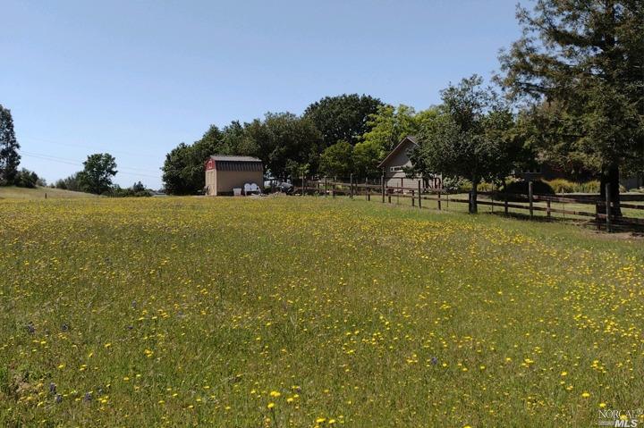 754 Red Tail Road Healdsburg, CA 95448 - Photo 1 of 1 a swimming pool with trees in the background