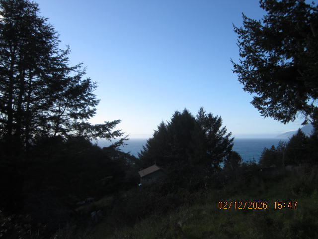576 Ridge Road Shelter Cove, CA 95589 - Photo 4 of 22 IMG_1023