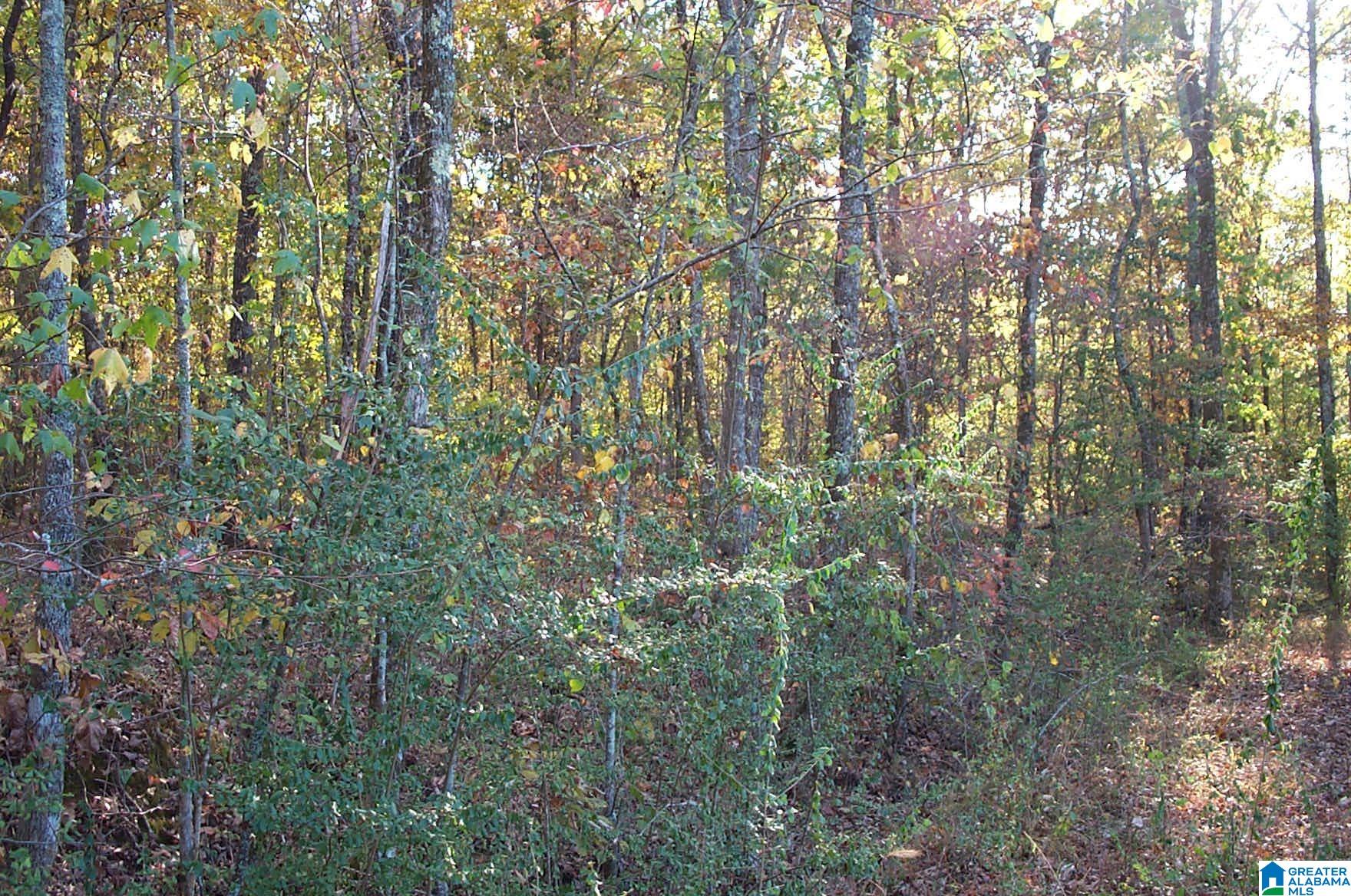 850 Sardis Road, Unit 1 Ashland, AL 36251 - Photo 6 of 10