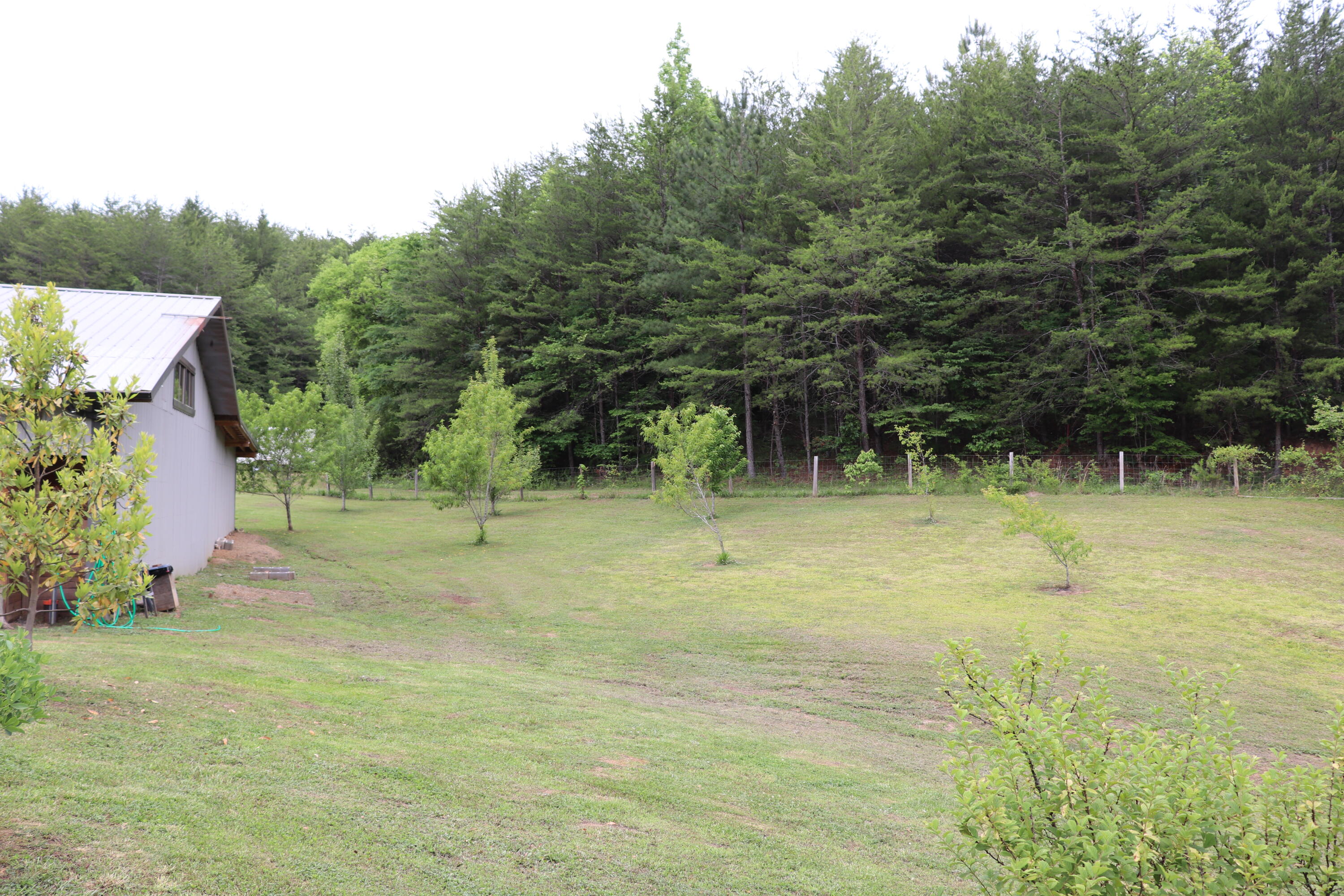 299 Hardin Cemetery Road Vonore, TN 37885 - Photo 14 of 32 IMG_2019