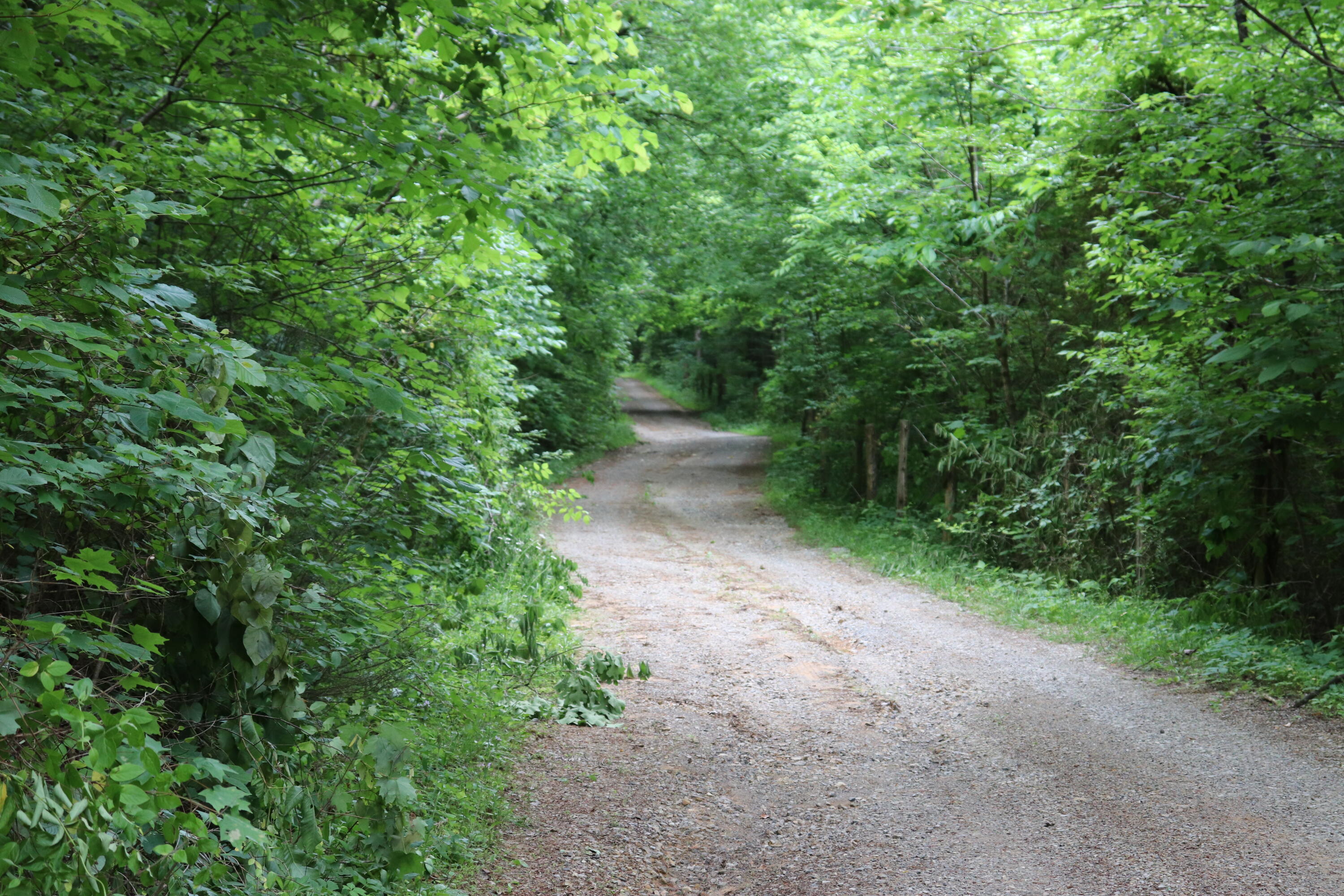 299 Hardin Cemetery Road Vonore, TN 37885 - Photo 29 of 32 IMG_2042