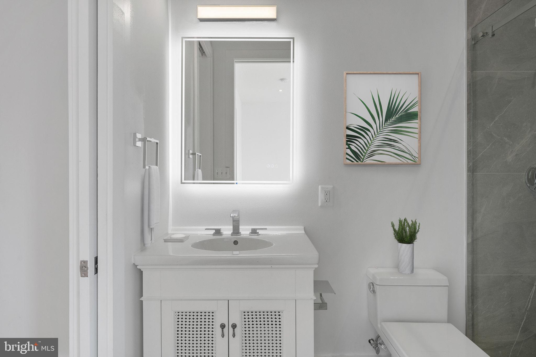 1414 5th Street Northwest, Unit B Washington, DC 20001 - Photo 38 of 71 Custom Vanity W/Backlit Three Tone Heated Mirror