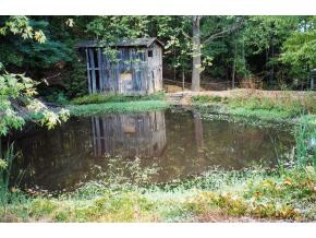 0 Kitchen Branch Road, Unit 2 Greeneville, TN 37743 - Photo 4 of 6 Photo 4