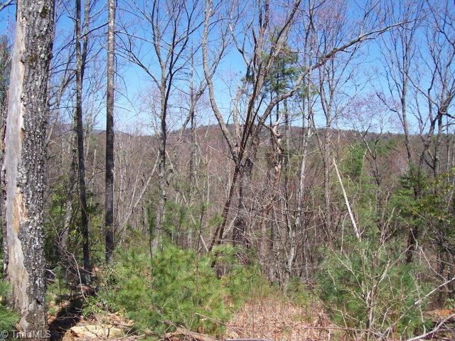 Lt124 Pepper Bush Road Purlear, NC 28665 - Photo 1 of 1 Main View