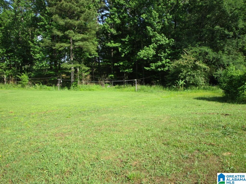 434 Skyview Lake Road Warrior, AL 35180 - Photo 4 of 17