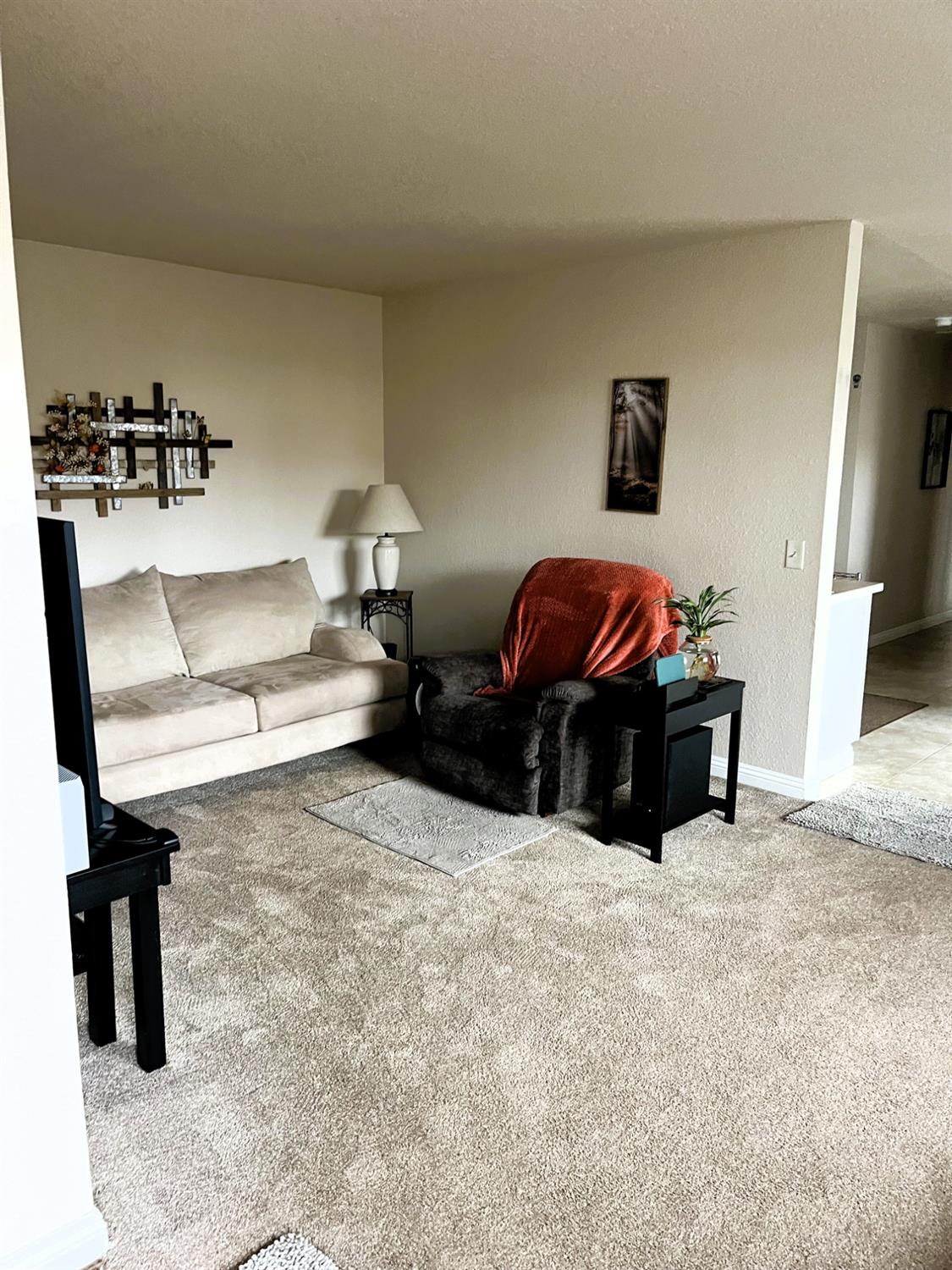 113 Atkinson Street Roseville, CA 95678 - Photo 6 of 22 a living room with furniture a rug and gym equipment