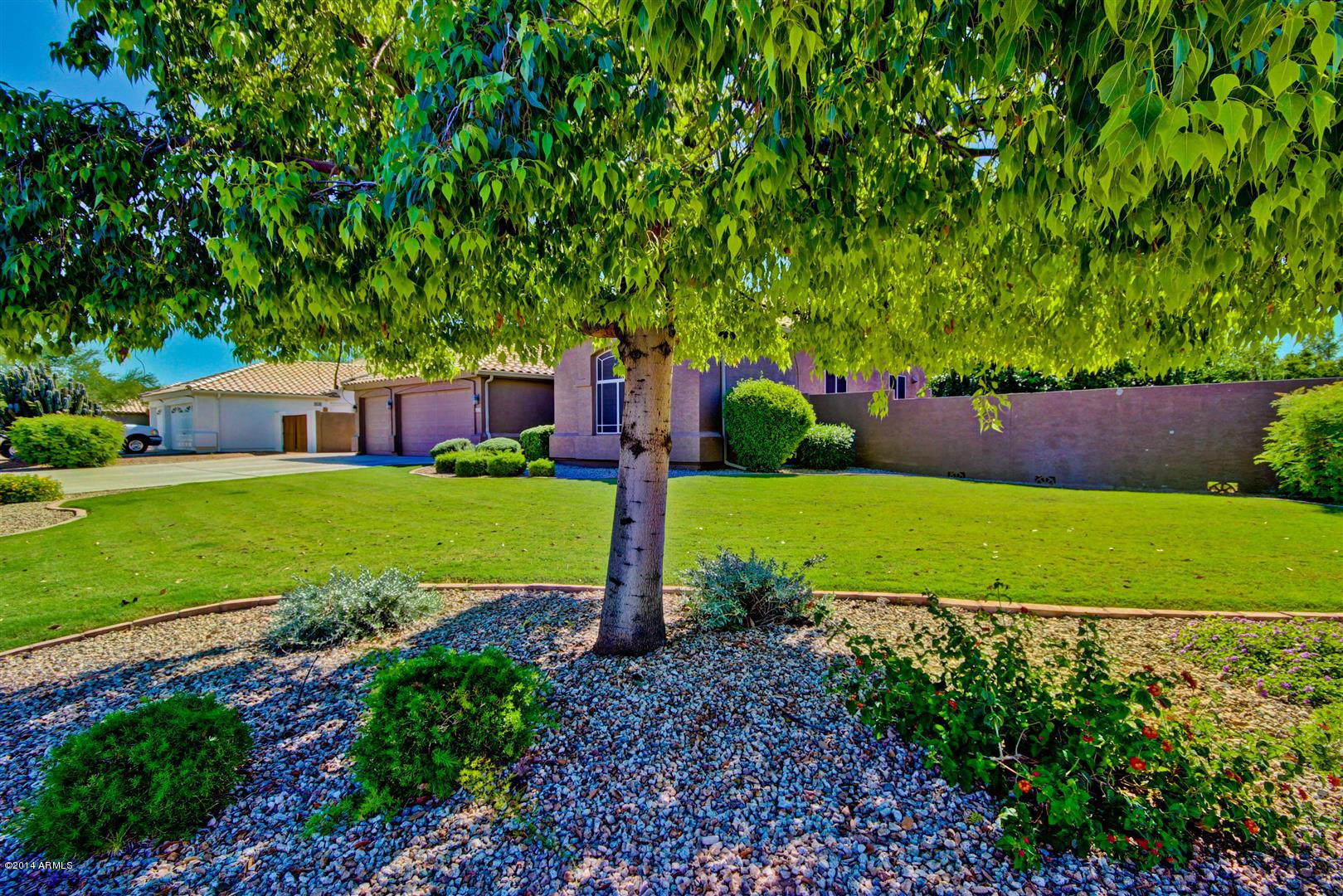 2239 Randall Road Gilbert, AZ 85296 - Photo 3 of 59 Randall (6)