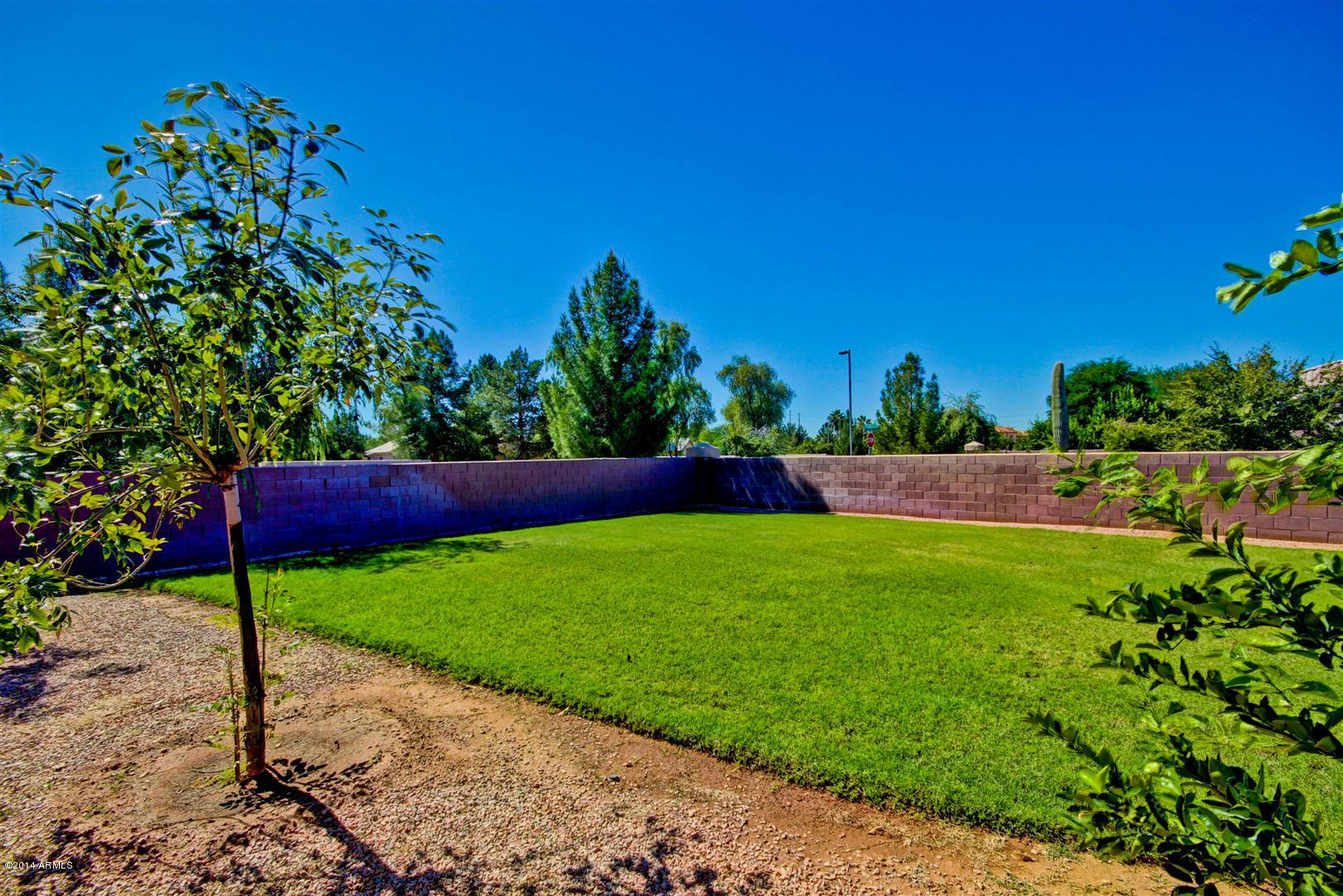 2239 Randall Road Gilbert, AZ 85296 - Photo 41 of 59 Randall (52)