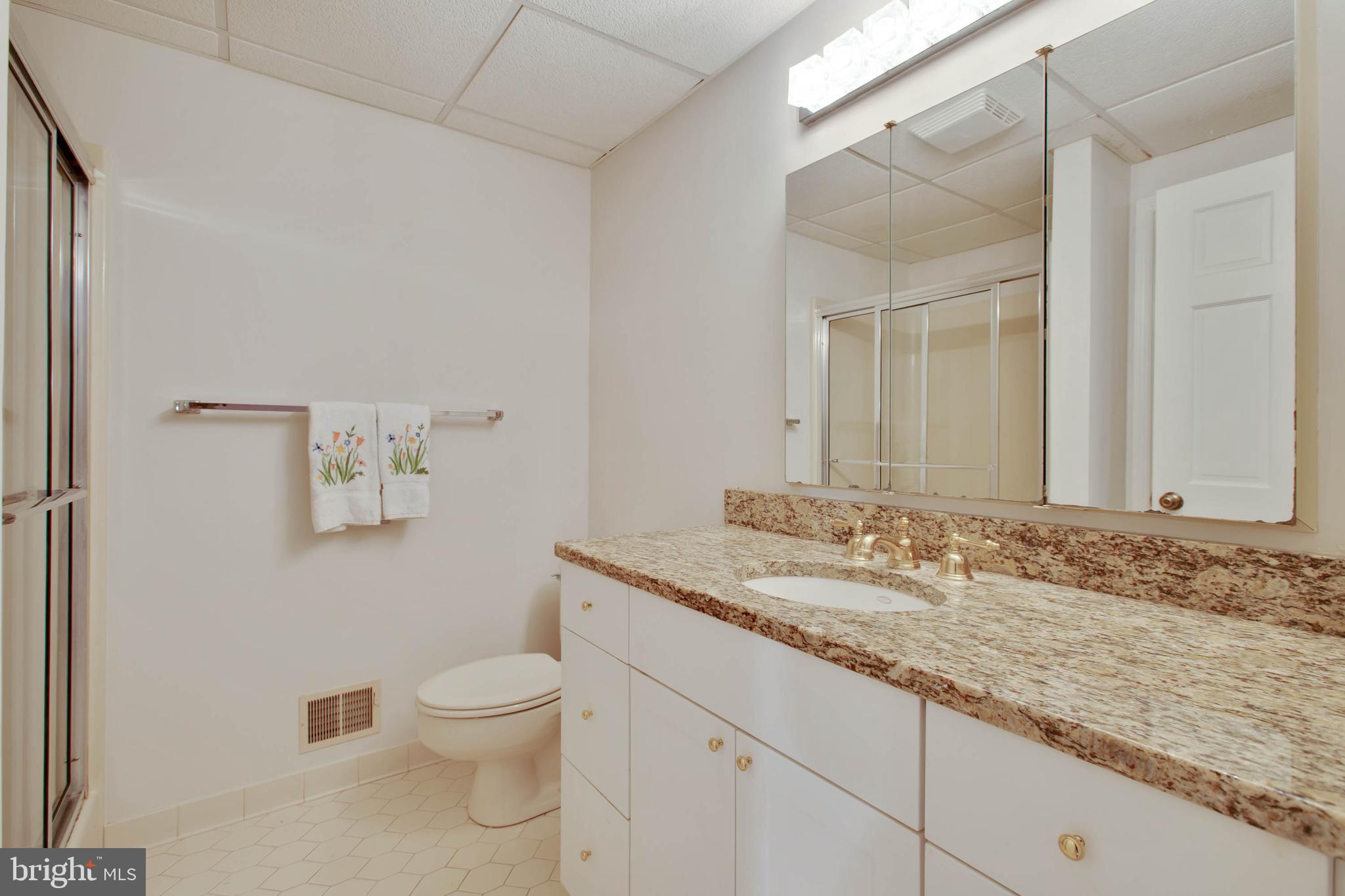 11694 Farside Road Ellicott City, MD 21042 - Photo 36 of 49 Bathroom