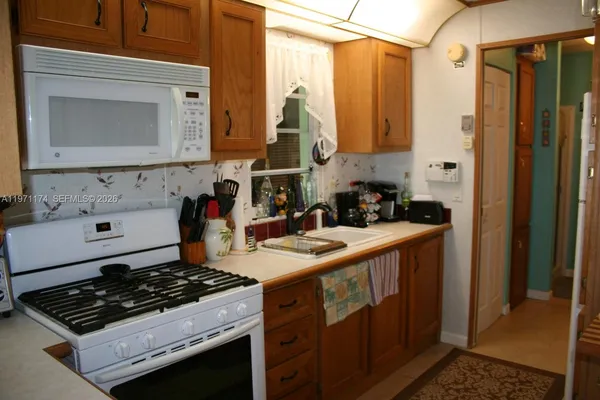 a white refrigerator freezer and a dishwasher
