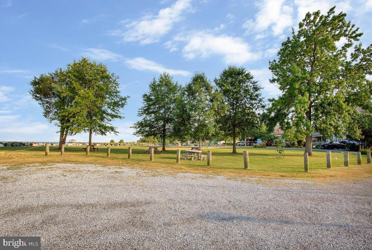 1168 Maple Avenue Shady Side, MD 20764 - Photo 49 of 52 Serene park with lush trees and open space.