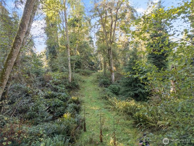 a view of a tree in a yard