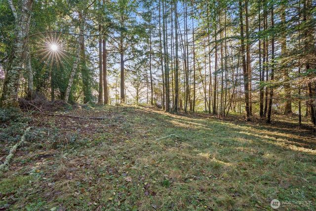 a view of outdoor space with trees
