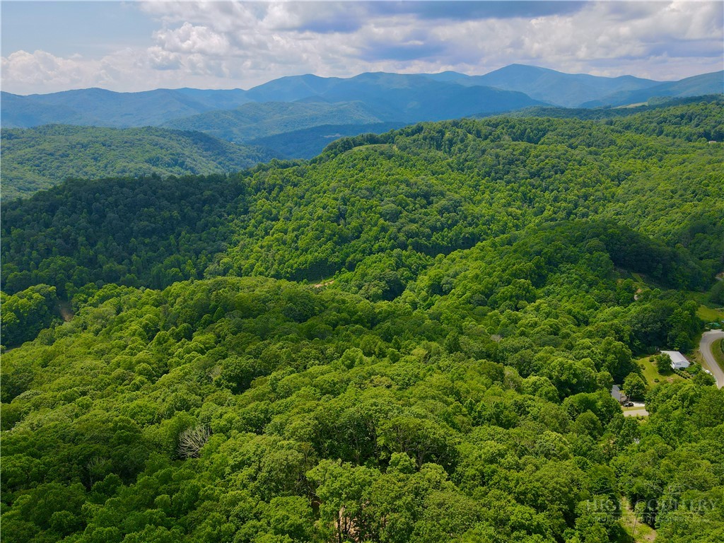 Old Chestnut Mountain Road Newland, NC 28657 - Photo 19 of 33