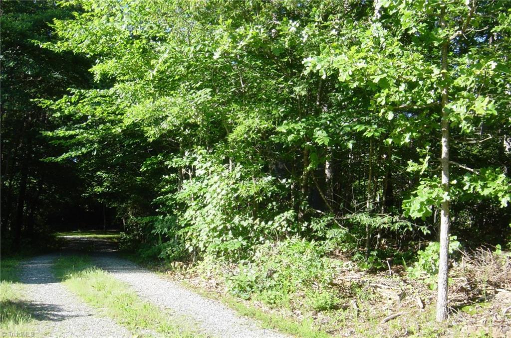 7101 Rabbit Hollow Road Summerfield, NC 27358 - Photo 1 of 3 Gallery Image 1