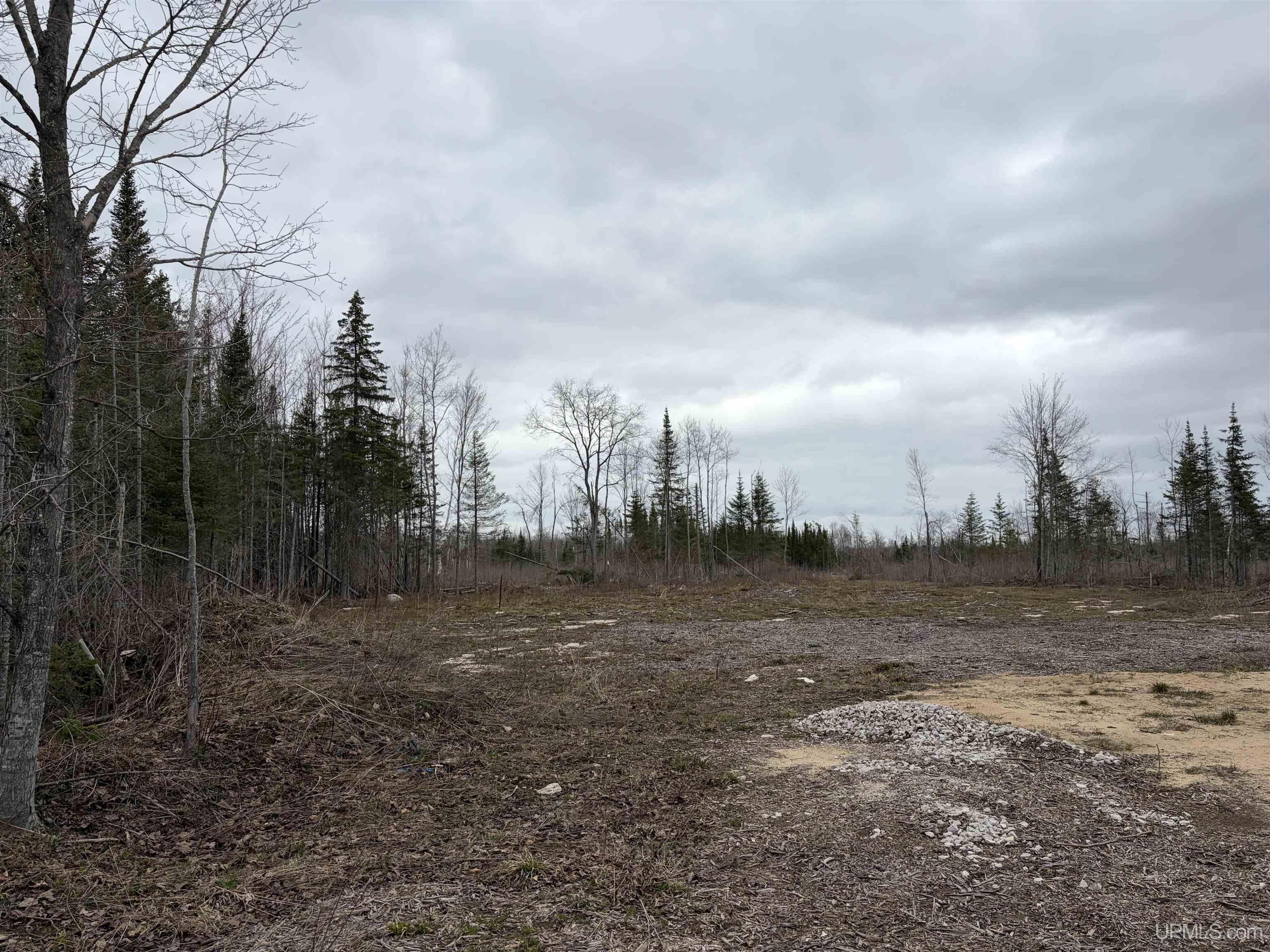 Tbd Cooper Road Gulliver, MI 49840 - Photo 1 of 3
