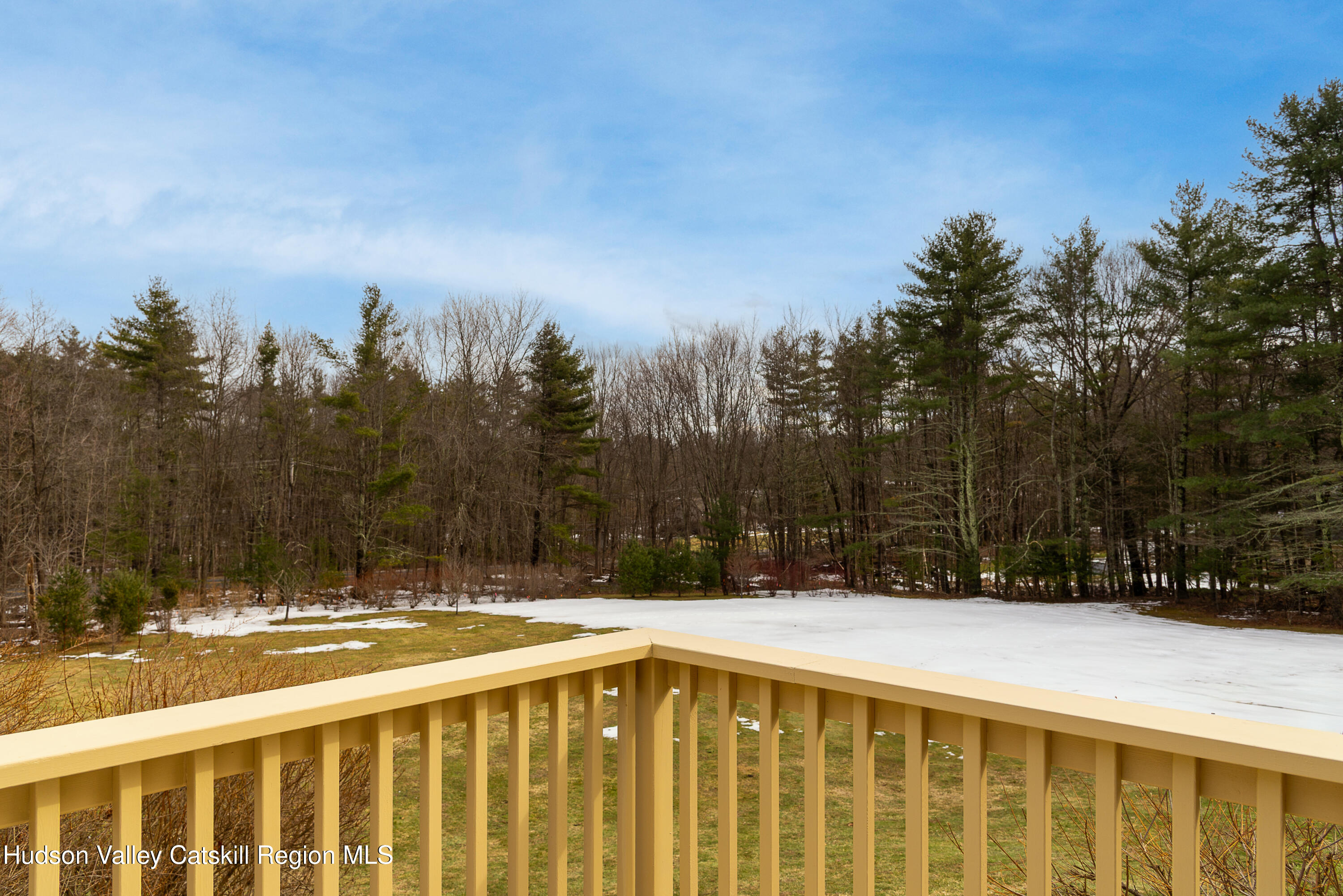 31 Pond Park Road Hurley, NY 12498 - Photo 33 of 39 a view of swimming pool with a yard in the background