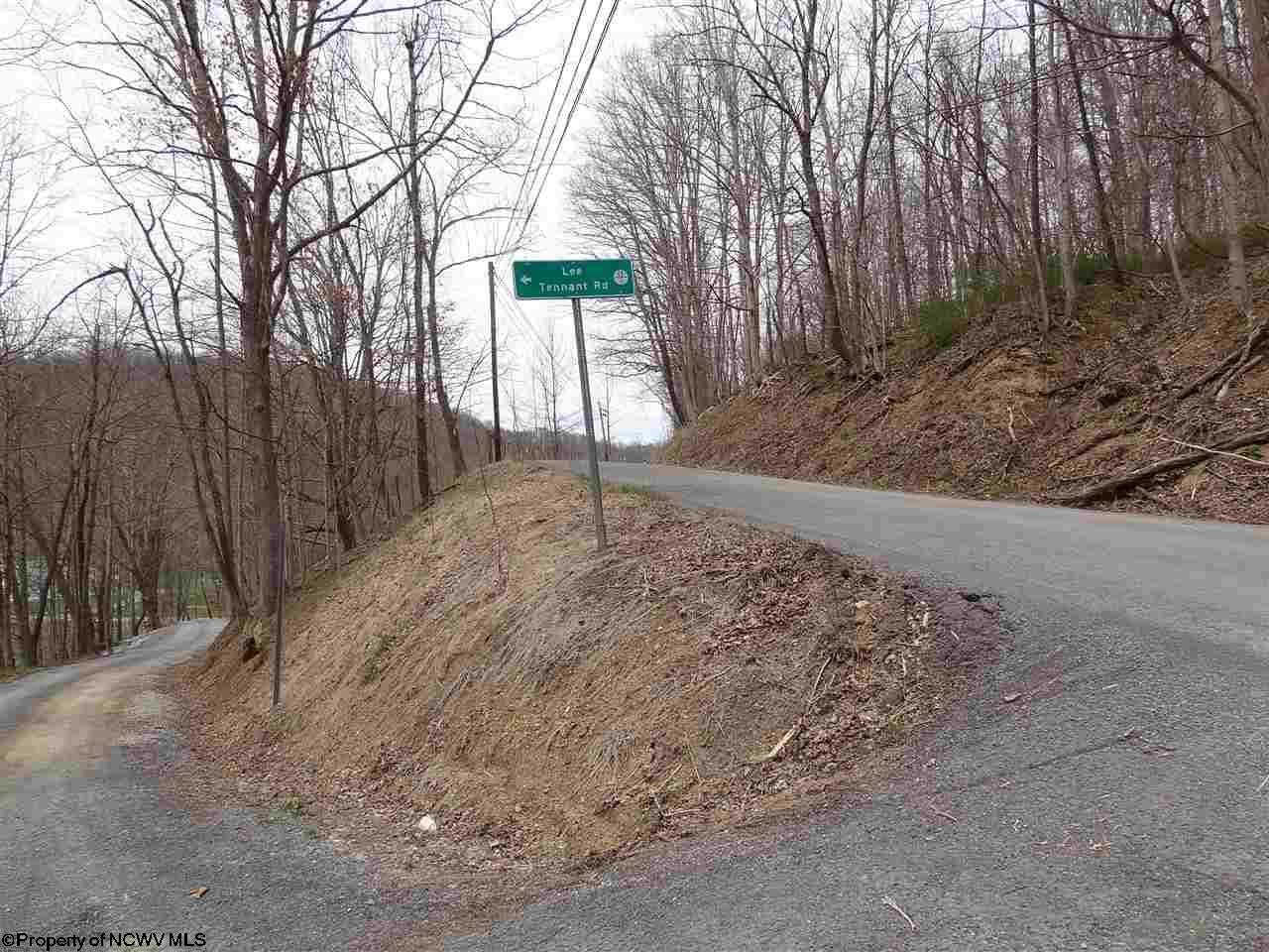 0 Lee Tennant Road Wana, WV 26590 - Photo 9 of 9 Gallery Image 9